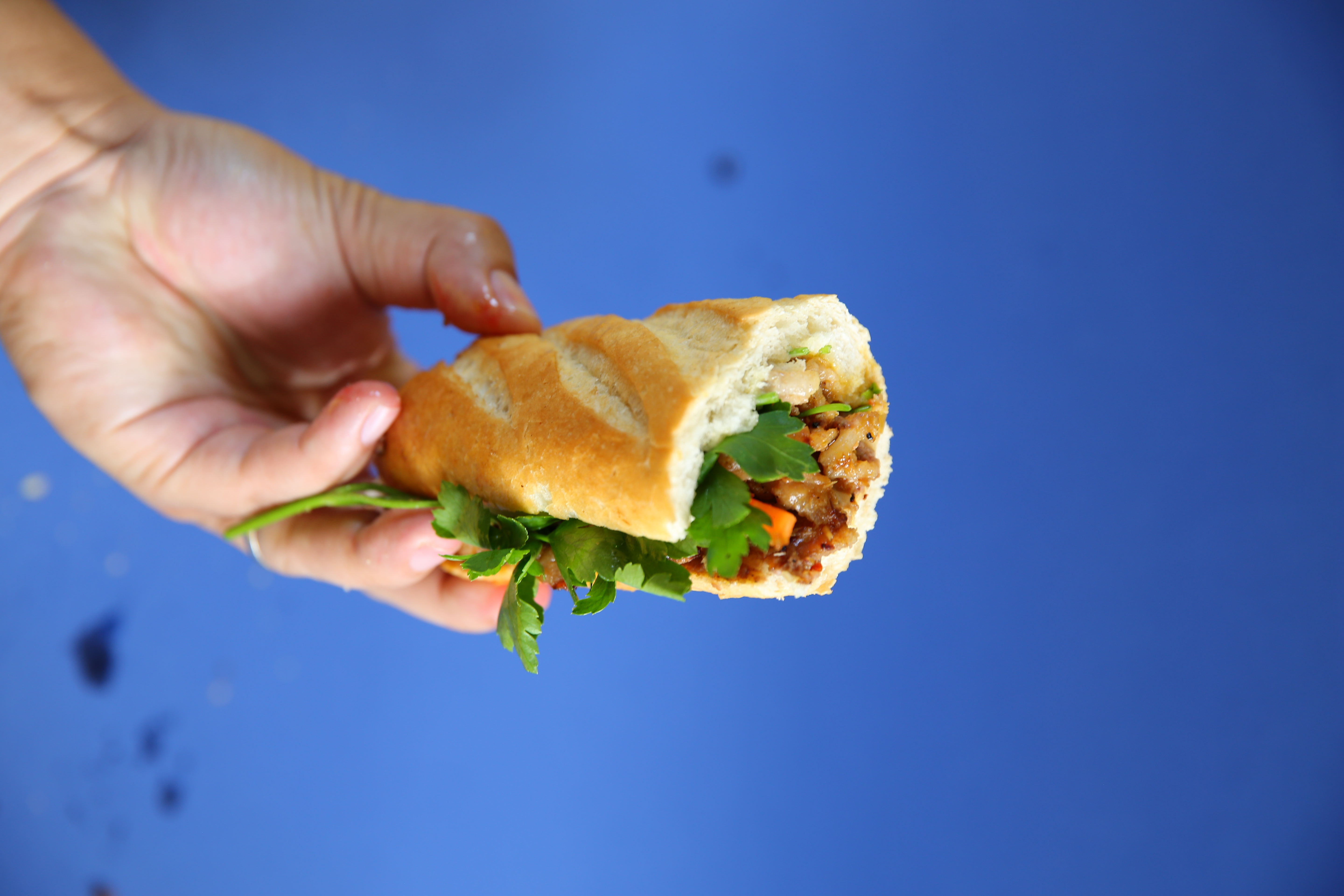 Bánh Mì